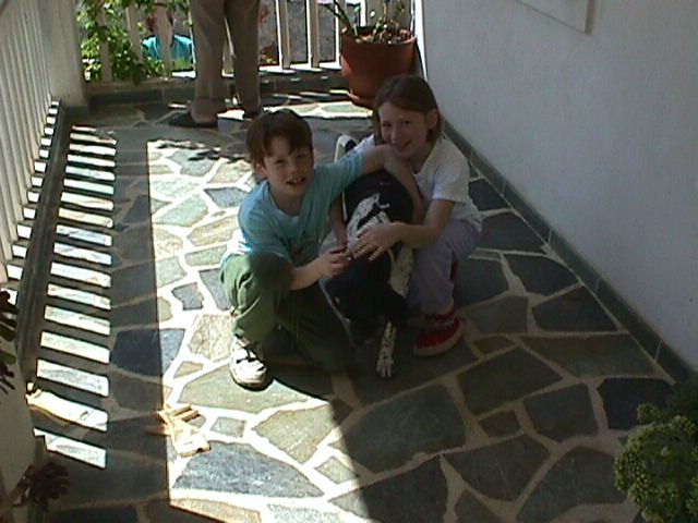 patting the dog